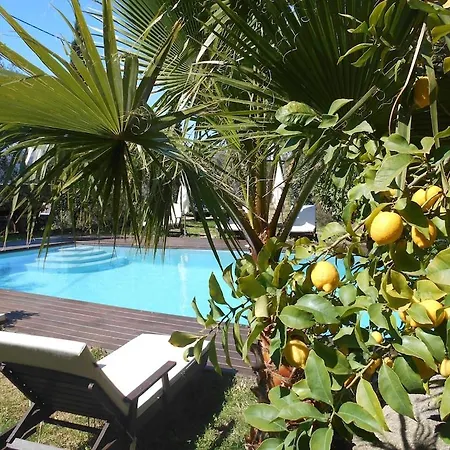 Luxury 270m² House Of Character In Old Stones With Heated Pool, Near Calvi 칼렌자나