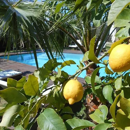빌라 Luxury 270m² House Of Character In Old Stones With Heated Pool, Near Calvi 칼렌자나