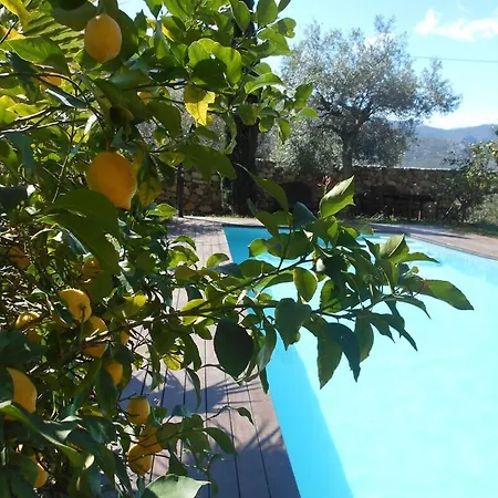 Luxury 270m² House Of Character In Old Stones With Heated Pool, Near Calvi 빌라 *