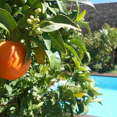 Luxury 270m² House Of Character In Old Stones With Heated Pool, Near Calvi