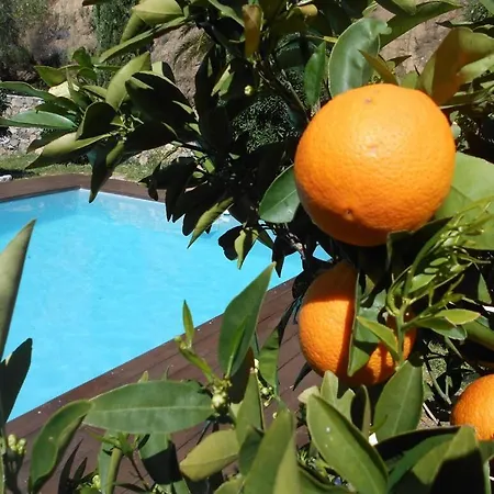 Luxury 270m² House Of Character In Old Stones With Heated Pool, Near Calvi Calenzana