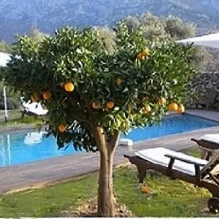 Luxury 270m² House Of Character In Old Stones With Heated Pool, Near Calvi Villa